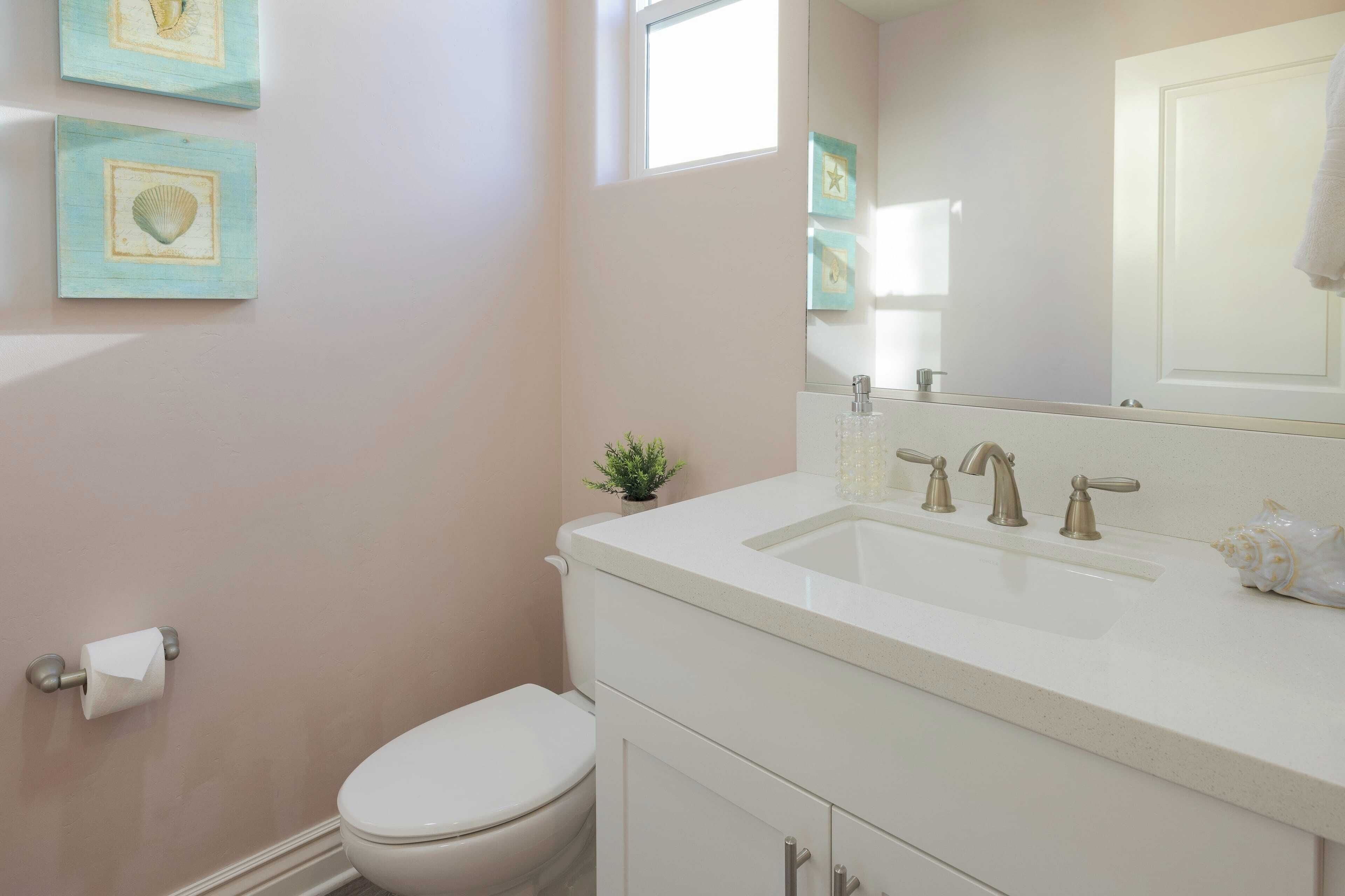 A bathroom with a white toilet, a sink with two faucets, and a small plant on the counter.
