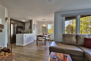 TV, fireplace, DVD player