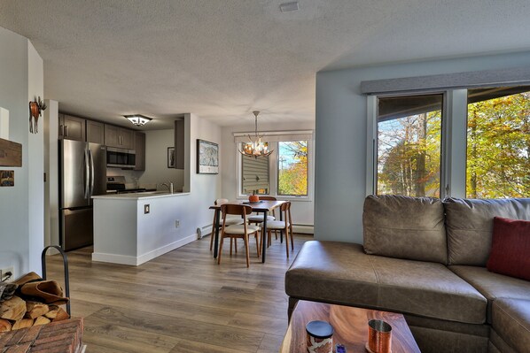 TV, fireplace, DVD player