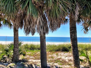 A beach with palm trees and a clear view of the ocean.
