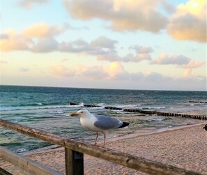 Uklassifisert bilde, 5 av 24, knapp