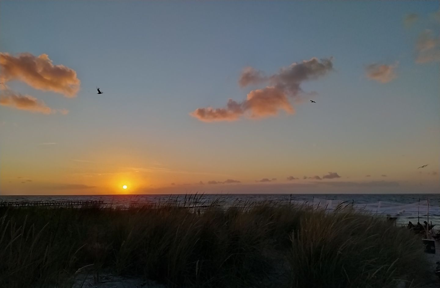 A sunset over a beach with a pier and grassy dunes in the foreground.
