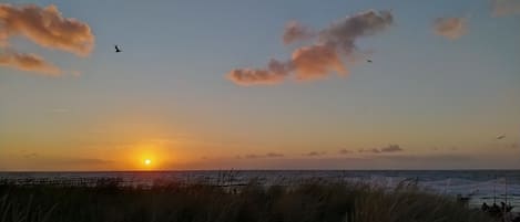 A sunset over a beach with a pier and grassy dunes in the foreground.