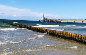 Uklassifisert bilde, 3 av 24, knapp