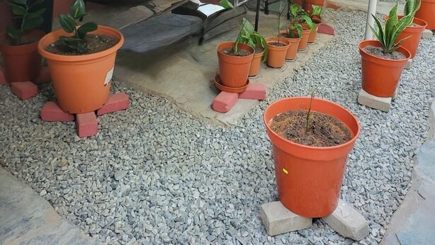 A covered outdoor seating area with multiple potted plants, a sofa, and a table.