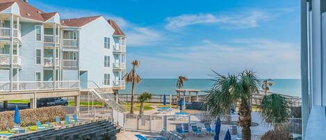 A beachfront hotel with a pool area, lounge chairs, and a view of the ocean.