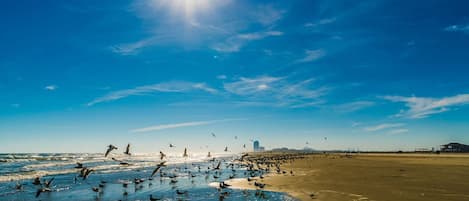 Huis, toegankelijk voor mindervaliden | 2 slaapkamers