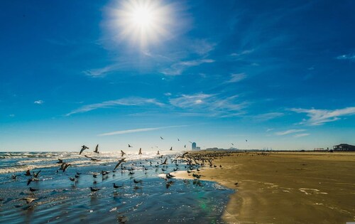 Vacation in Style at the Beach