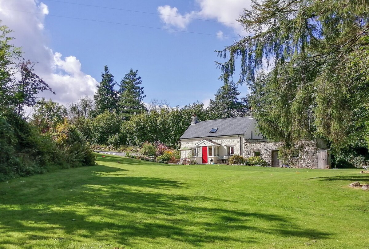 Imagen de perfil del propietario o de la propietaria