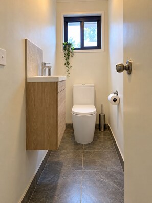 A bathroom with a toilet, a sink with a mirror, a window, and a plant.