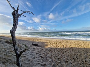 Imagen sin descripción, 4 de 38, botón