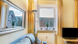 A living room with a sofa, a television, a window with curtains, a radiator, and a mirror reflecting a house and trees.