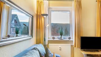 Fernseher, DVD-Player