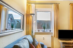 A living room with a sofa, a television, a window with curtains, a radiator, and a mirror reflecting a house and trees.