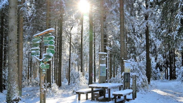 A snow-covered forest with directional signs and a bench area.