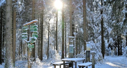 Ferienwohnung 'Tannenblick 1-2' mit Bergblick, Balkon und Wi-Fi