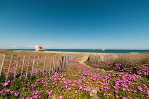 Plage à proximité