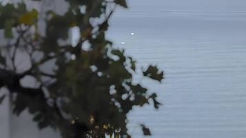 Una vista borrosa de un cuerpo de agua con una rama de árbol al frente.