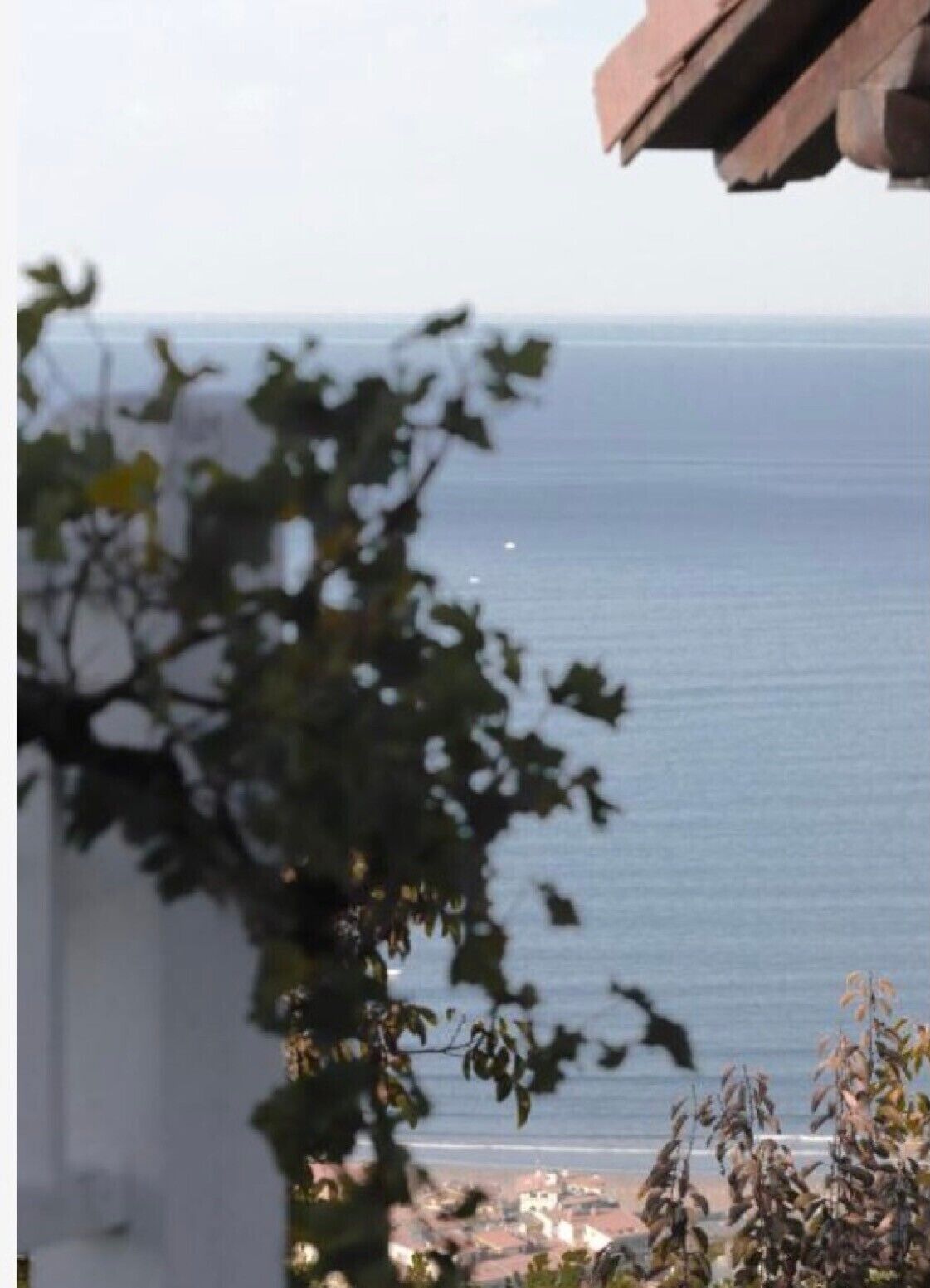 A view of the sea from a building with a balcony, surrounded by foliage.