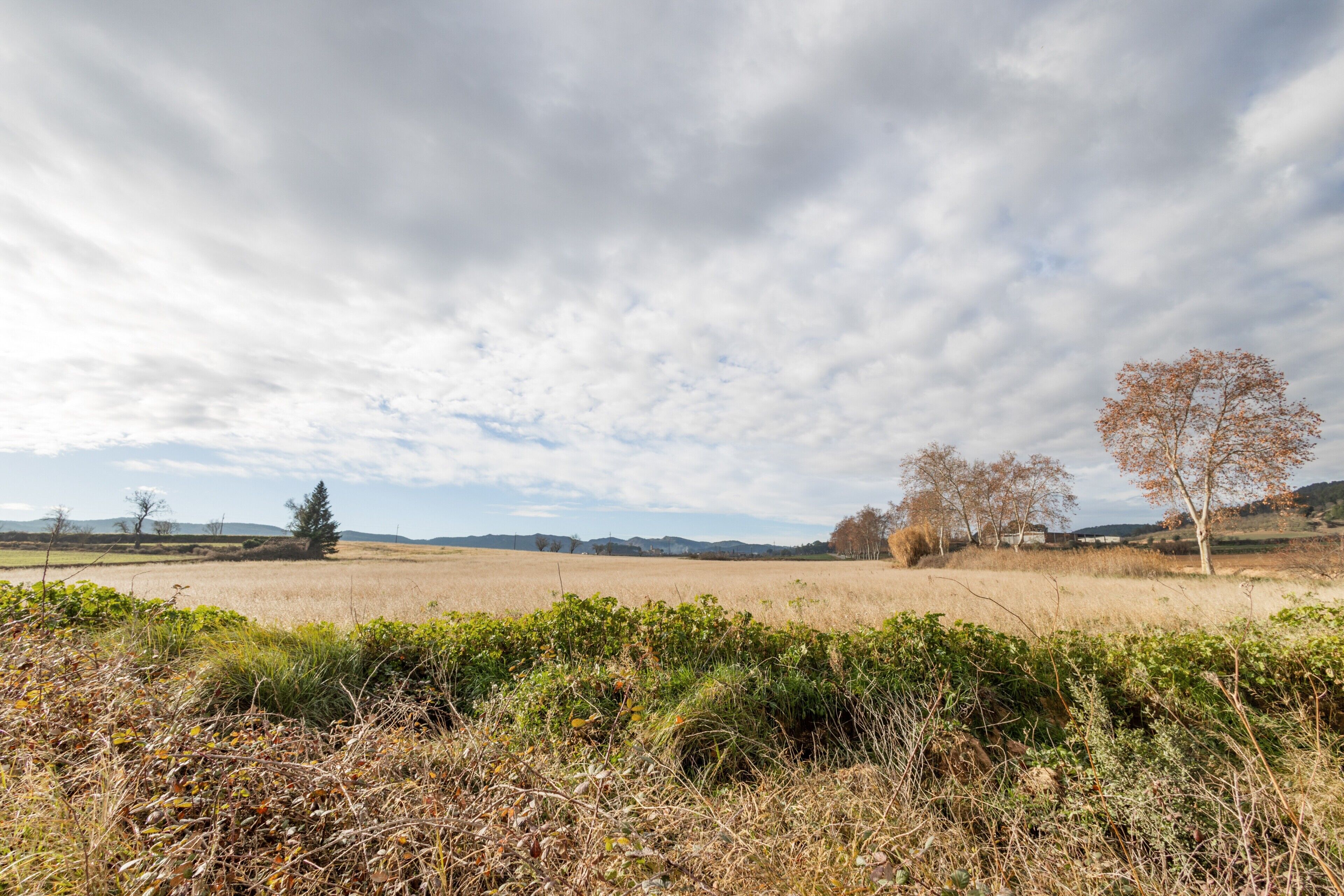 A rural landscape with fields, trees, and a cloudy sky.