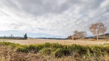 A rural landscape with fields, trees, and a cloudy sky.
