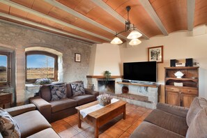 TV, fireplace, DVD player, ping pong