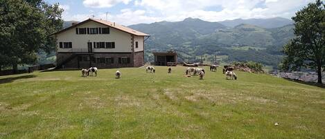 A two-story building with a stone foundation and a flat roof, surrounded by a grassy field with several horses grazing.
