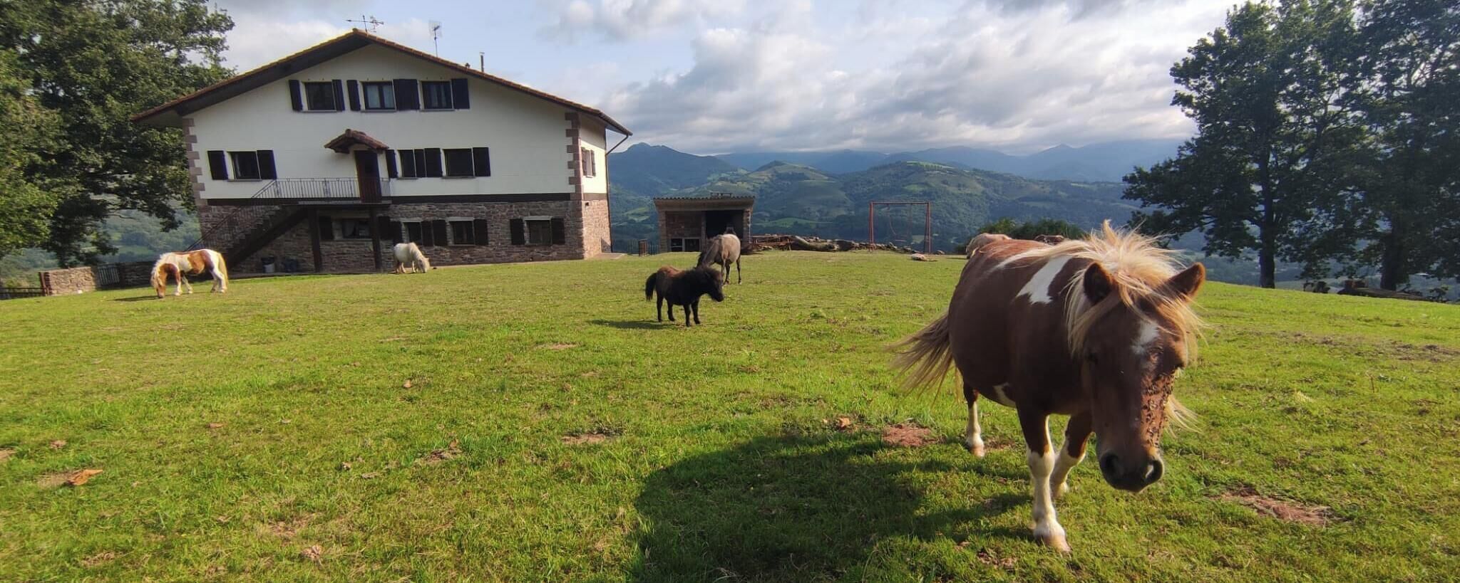 Un campo cubierto de césped con un edificio y montañas al fondo.