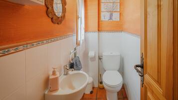 A bathroom with a sink, toilet, and a mirror.