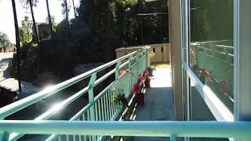 Superior Apartment, Balcony, Mountain View