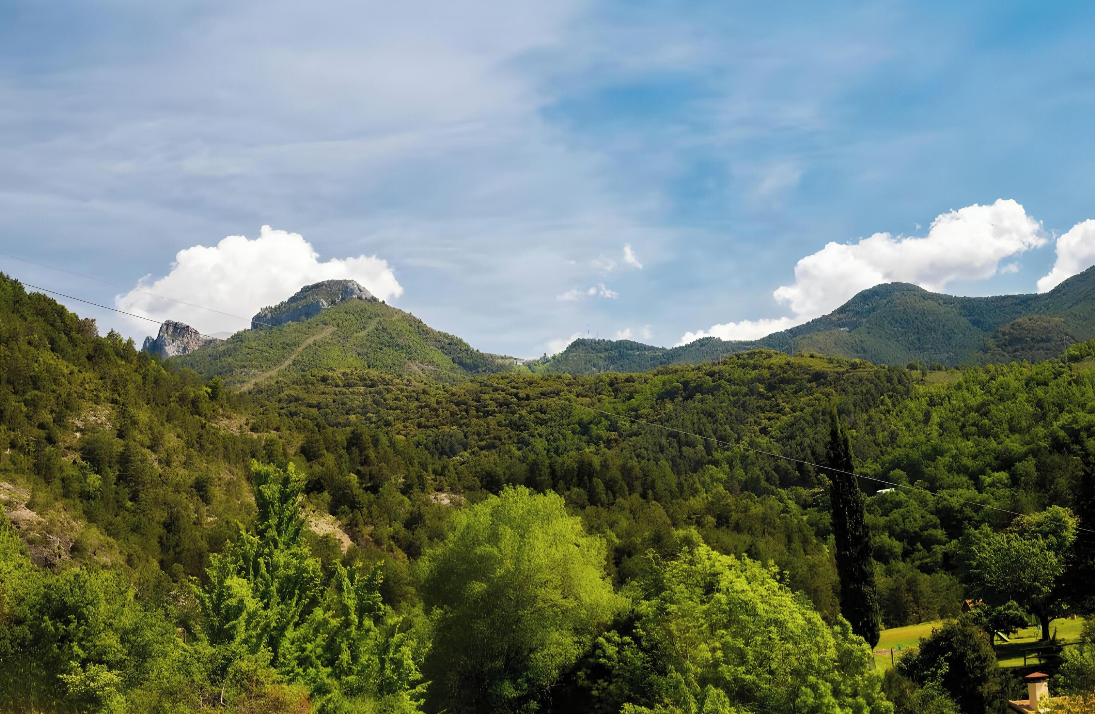 Paisaje montañoso con bosque denso, cielo despejado y una línea de energía eléctrica a lo lejos.