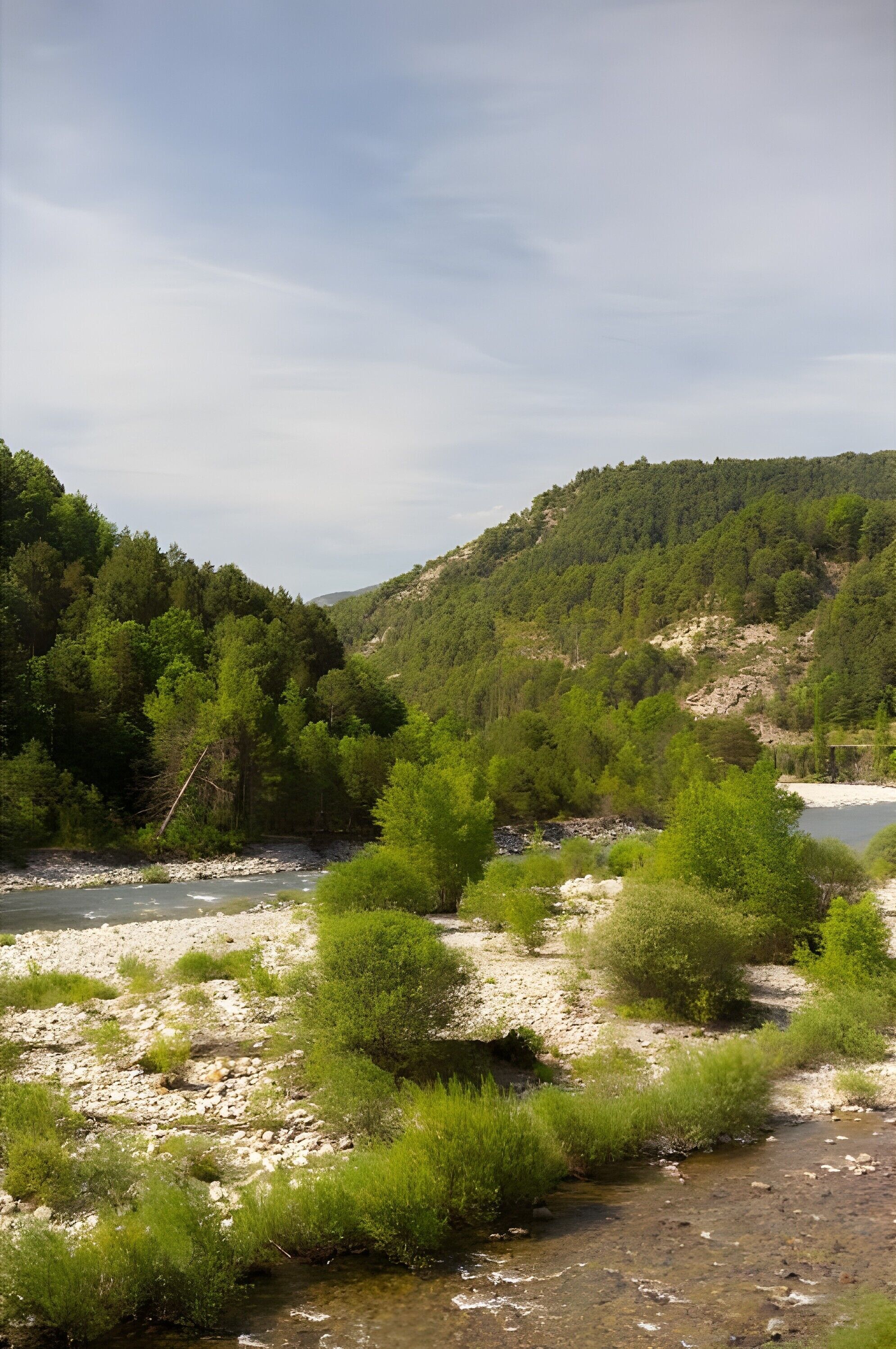 Eine natürliche Landschaft mit Fluss, Grünflächen und Hügeln.