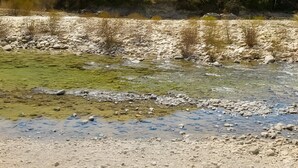 Un paisaje natural con un río, orilla rocosa y una colina boscosa.