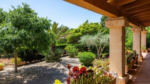 A covered outdoor area with a paved walkway, surrounded by various potted plants and trees.
