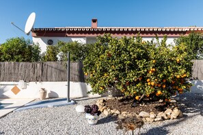 A house with a satellite dish, a tree with oranges, and a white wall with a window. - Holiday Home 'Palmera' with Mountain View, Private Pool and Wi-Fi (Málaga)