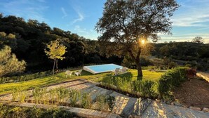 A pool with a clear view of the surrounding landscape, a large tree, and a well-maintained lawn. - Finca Los Gorriones – Country House with Mountain Views near Seville (El Garrobo)