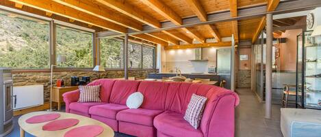 TV, DVD player, ping pong