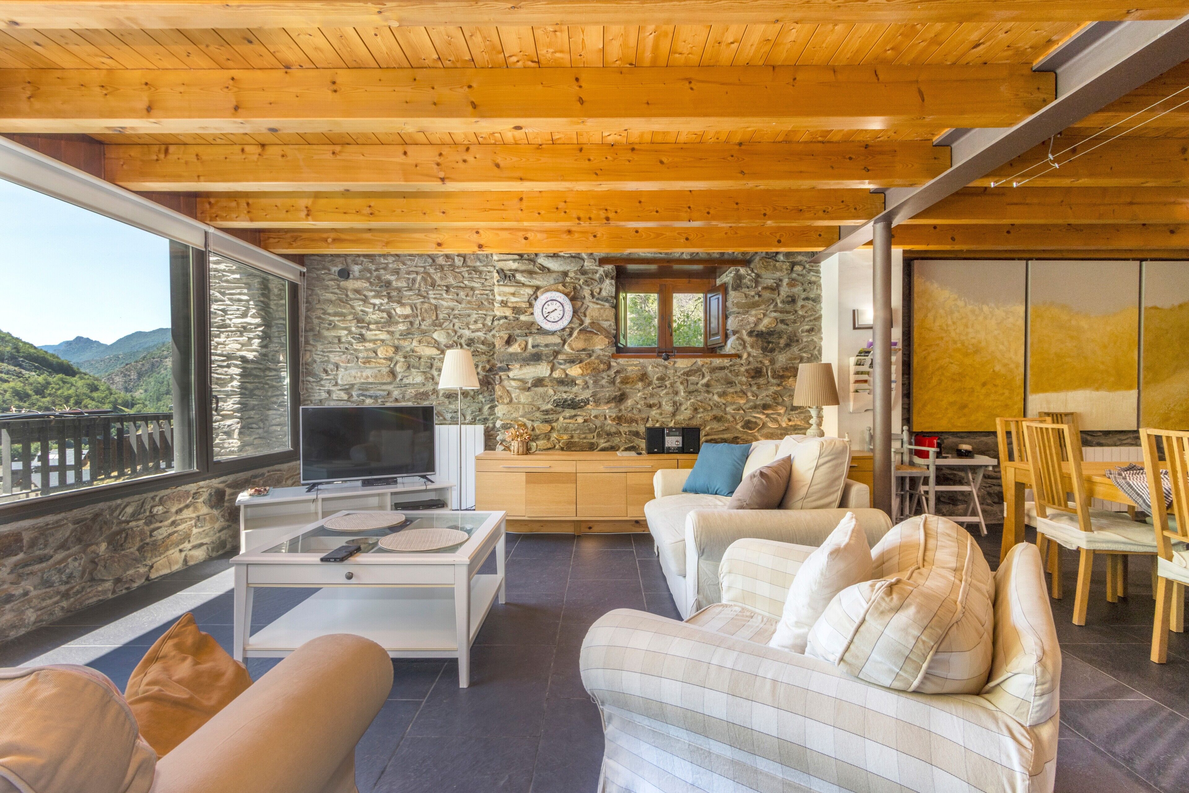 TV, DVD player, ping pong