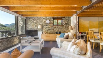 TV, DVD player, ping pong