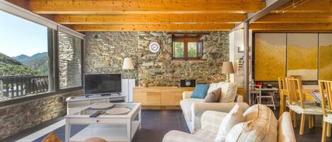 Télévision, lecteur de DVD, table de tennis de table