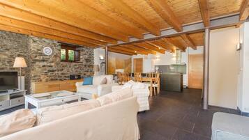 Televisio, DVD-soitin, pöytätennispöytä