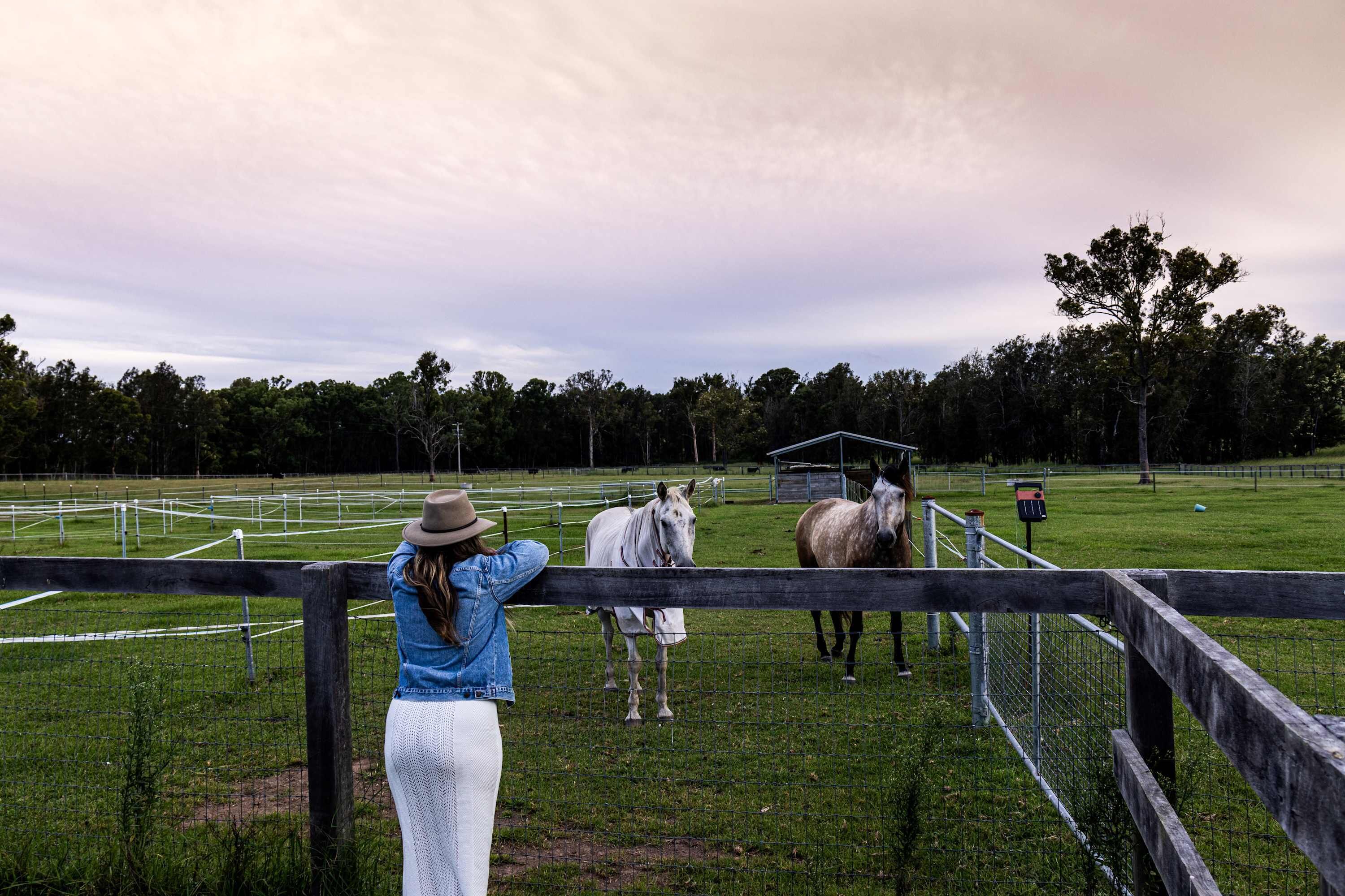 Un espace extérieur clôturé où se trouvent des chevaux, et une personne qui les observe.