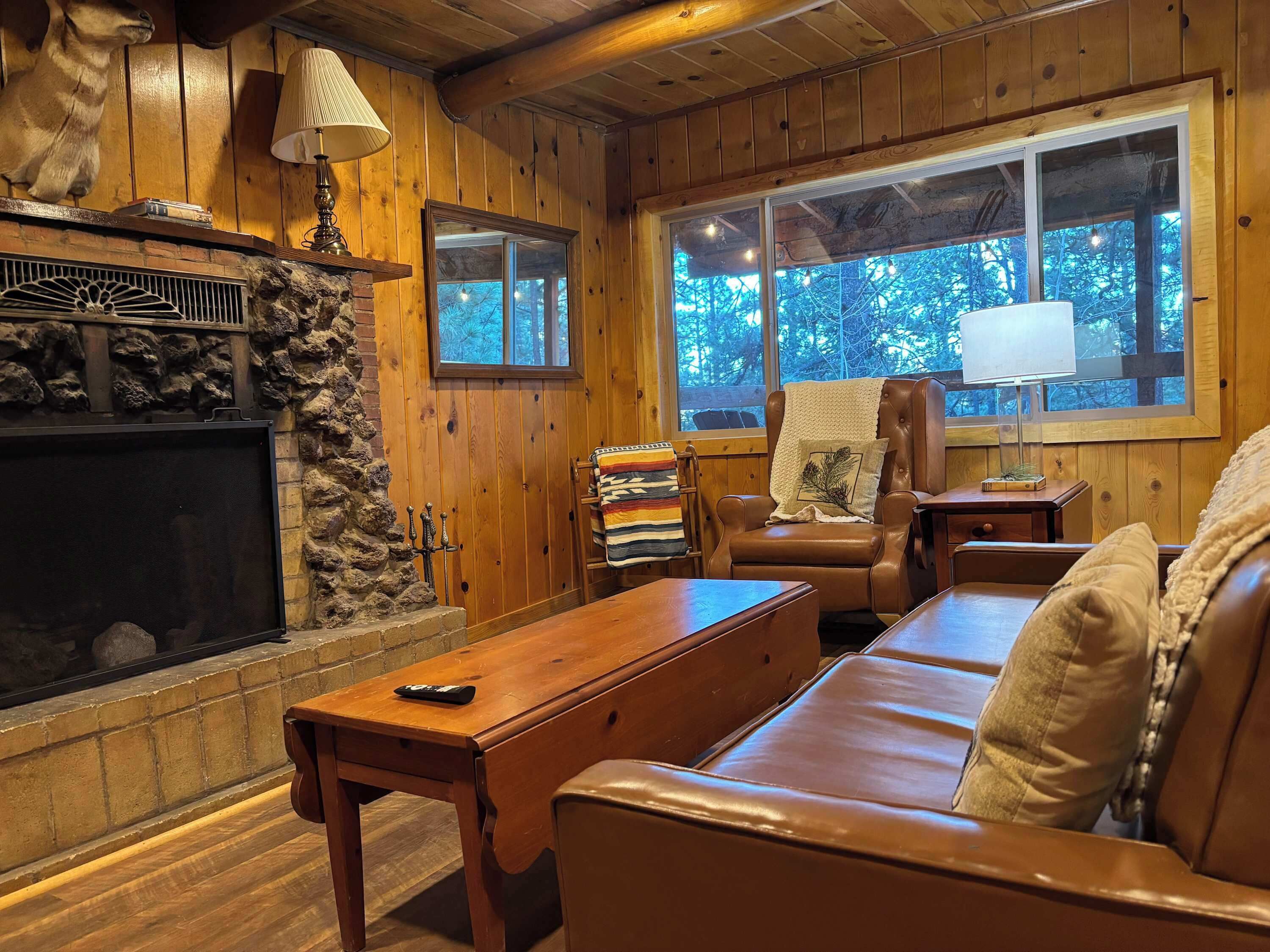 Télévision, cheminée, lecteur de DVD