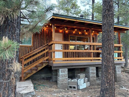 Greer Piney Hollow Cabin