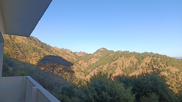 Property grounds - Babaji's Cave-Spiritual Connection, Rural Experience, Comfortable Stay, Family (Dwarahat)