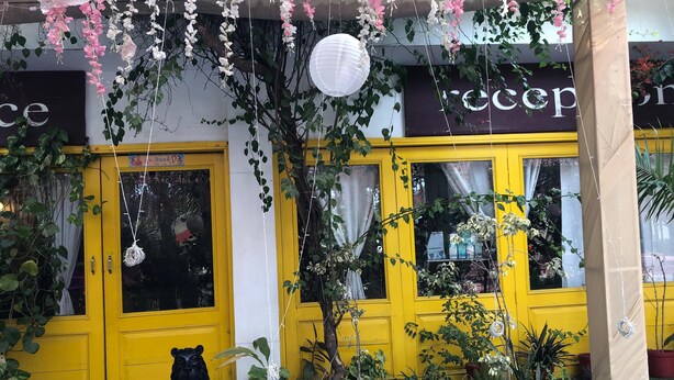 A yellow building with large windows, a black bear statue, and various potted plants. - KOSHA RESORT (Meerut)