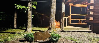 Charming Full Bed & 2 Twin Bed  cabin w/AC, Heat, WiFi in lovely Cooperstown,