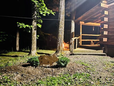 Charming Full Bed & 2 Twin Bed  cabin w/AC, Heat, WiFi in lovely Cooperstown,