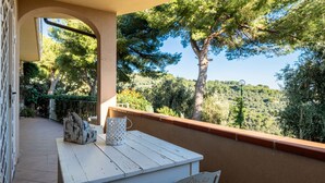 Una terraza con mesa y sillas, con vistas a un paisaje verde exuberante con árboles y cielo despejado.