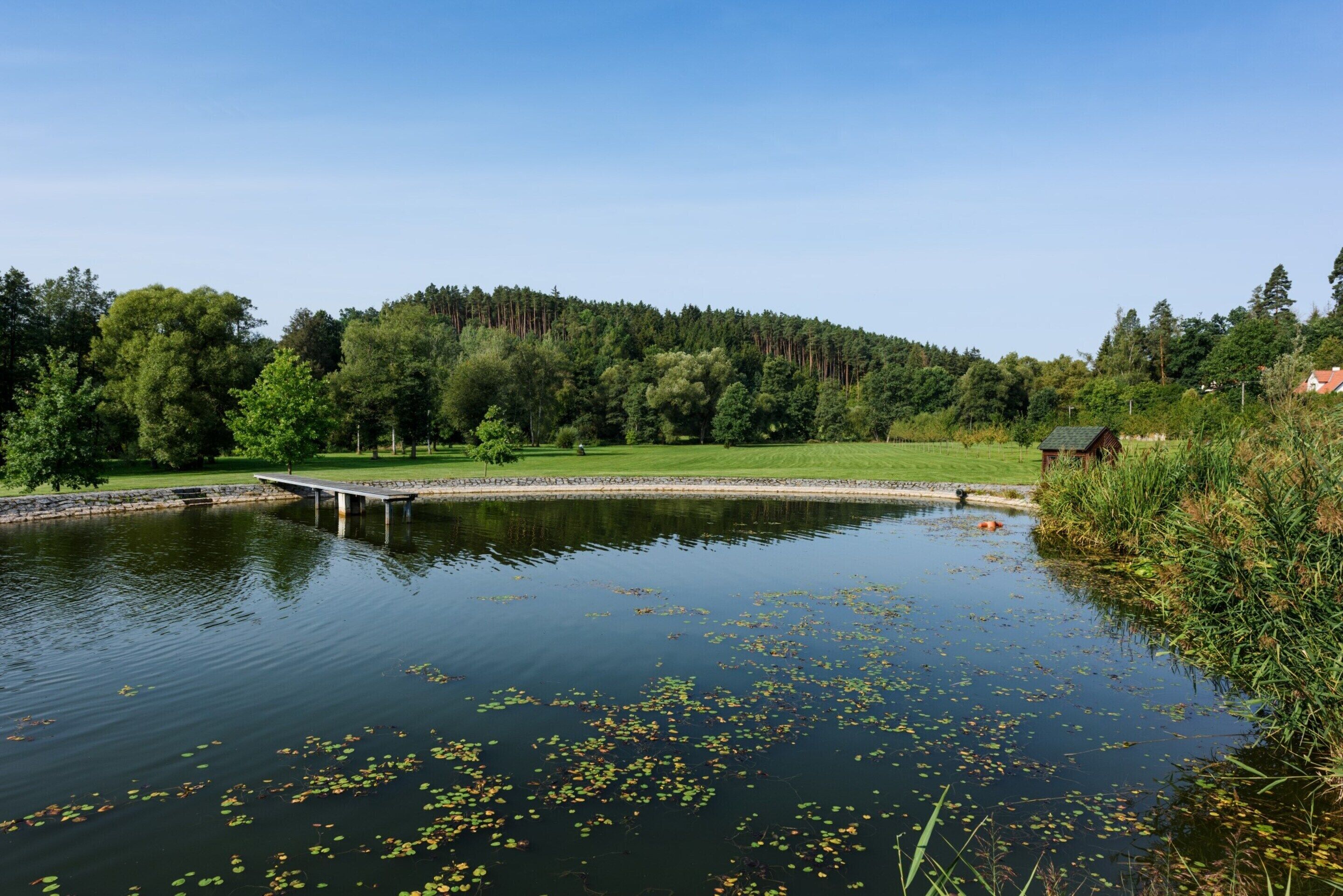 Un paysage paisible au bord d’un lac, avec une jetée en bois s’avançant dans l’eau, entouré d’une végétation luxuriante et d’une colline boisée en arrière-plan.